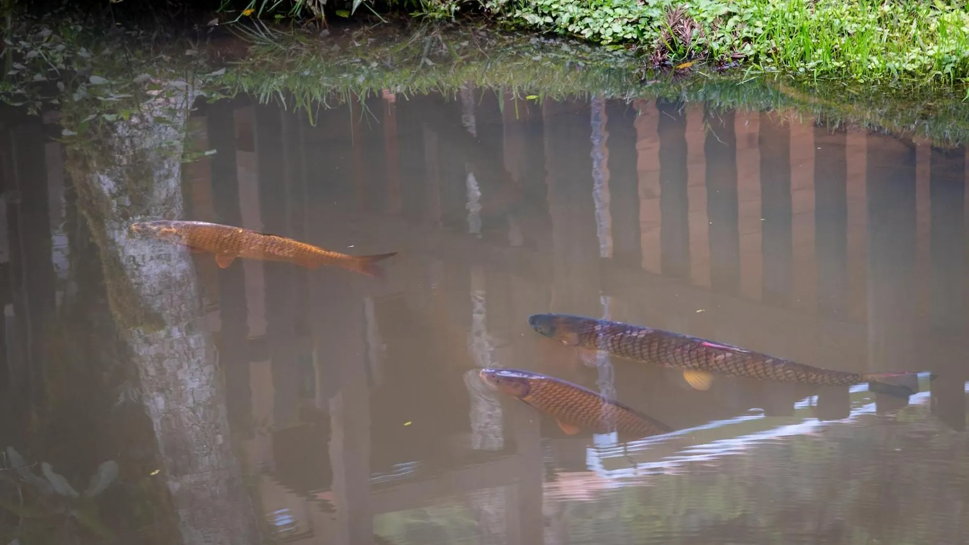 Pousada Caminhos Da Natureza Urubici Brasil